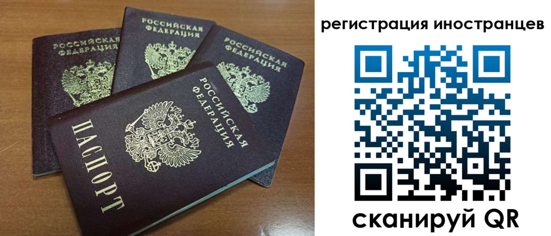временная регистрация надежно в Волгодонске